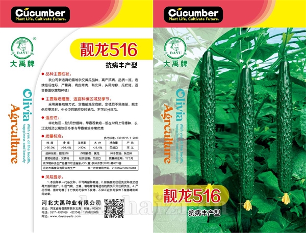 靚龙516
