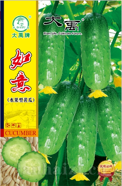 如意（水果型黄瓜）新