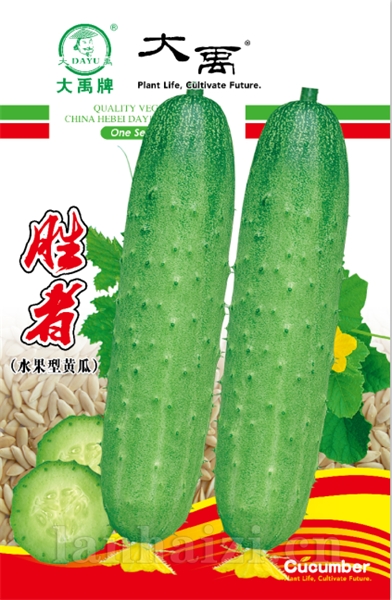 胜者（水果型黄瓜）新