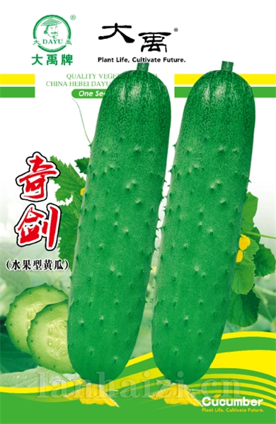 奇剑（水果型黄瓜）新