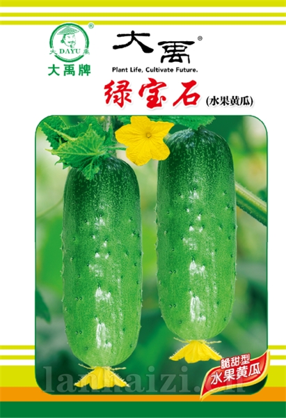 绿宝石（水果黄瓜）
