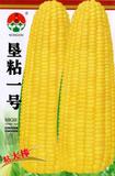 垦粘一号