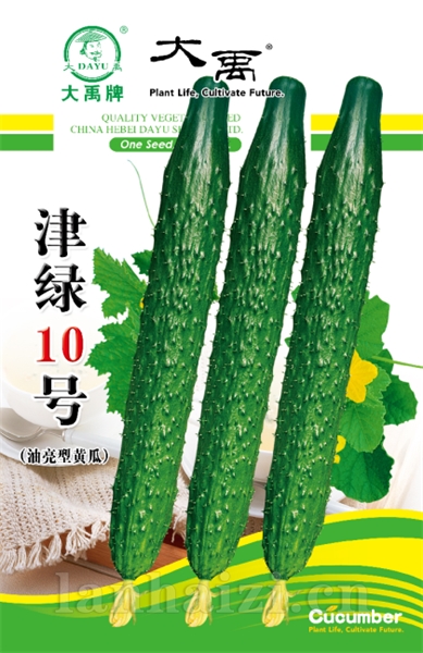 津绿10号新