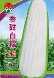 香甜白糯