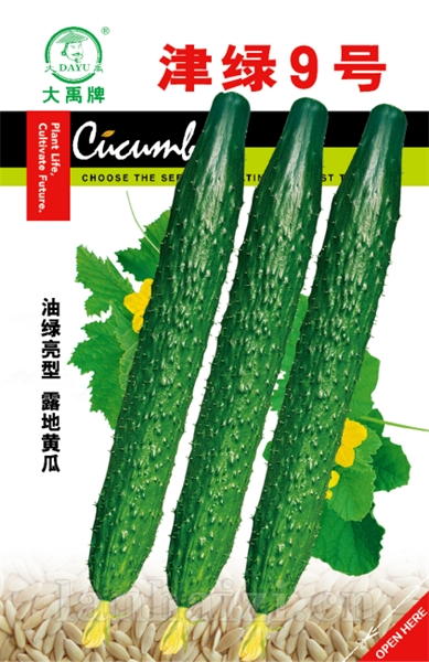 津绿9号新