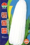银香糯