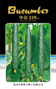 中杂339