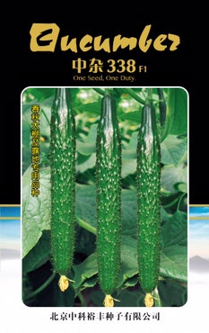 中杂338