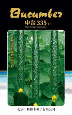 中杂335
