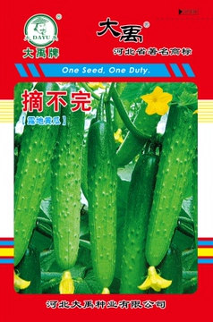 摘不完