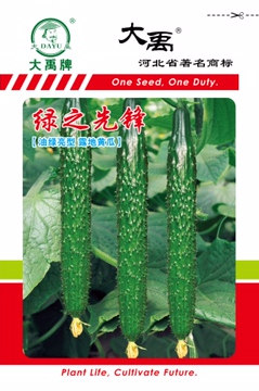 绿之先锋