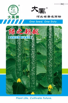 绿之超越