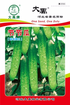节节瓜