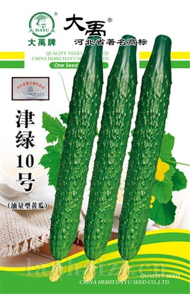 津绿10号