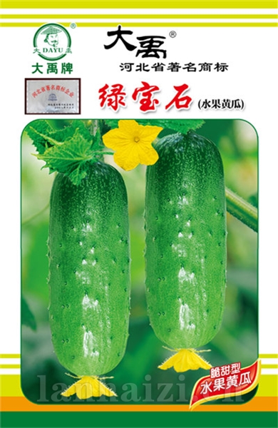 宝石绿（水果黄瓜）