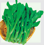 四九菜心