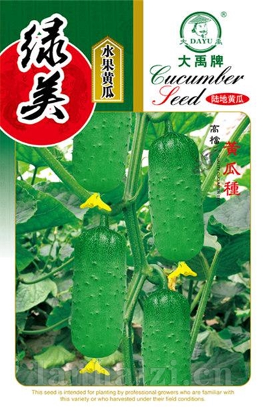 绿美（水果黄瓜）