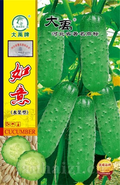 如意（水果型）