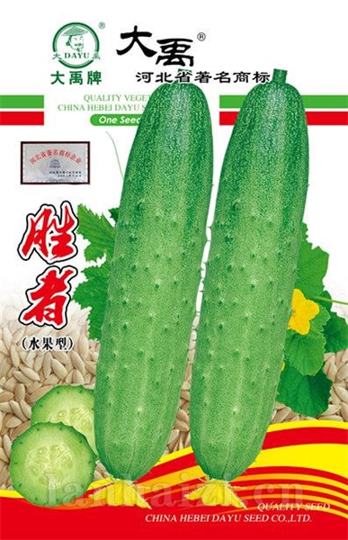 胜者（水果型黄瓜）新