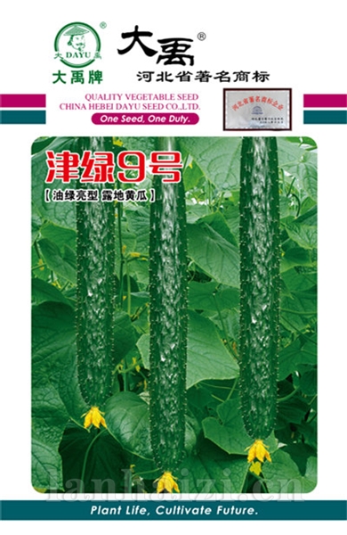 津绿9号新
