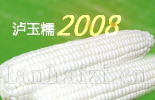 泸玉糯2008