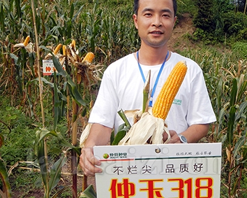 仲玉318