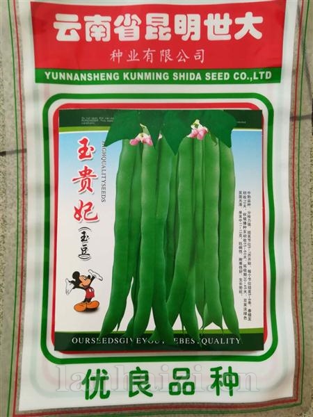 玉贵妃玉豆--黑籽型
