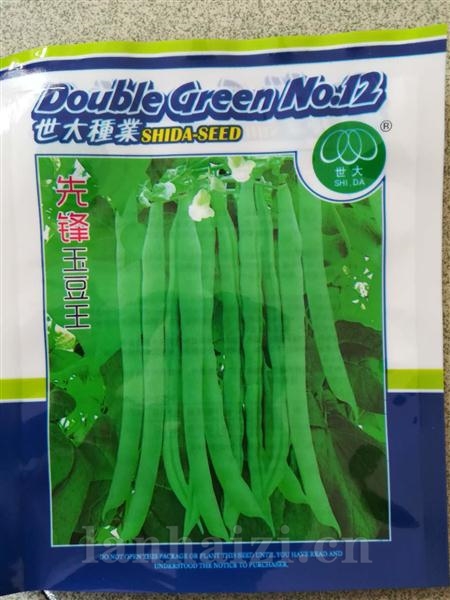 先锋玉豆王--白籽型