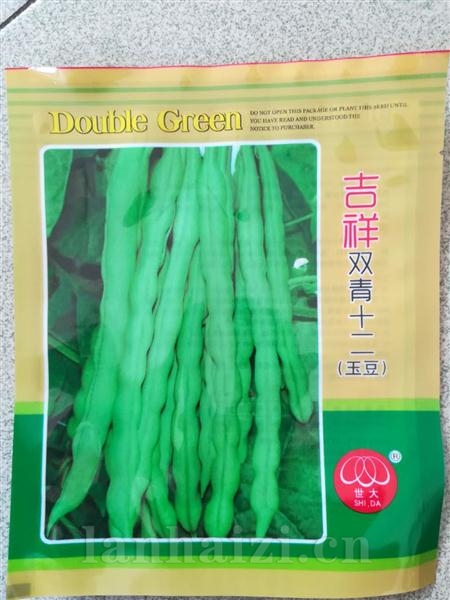 吉祥双青十二玉豆--白籽型