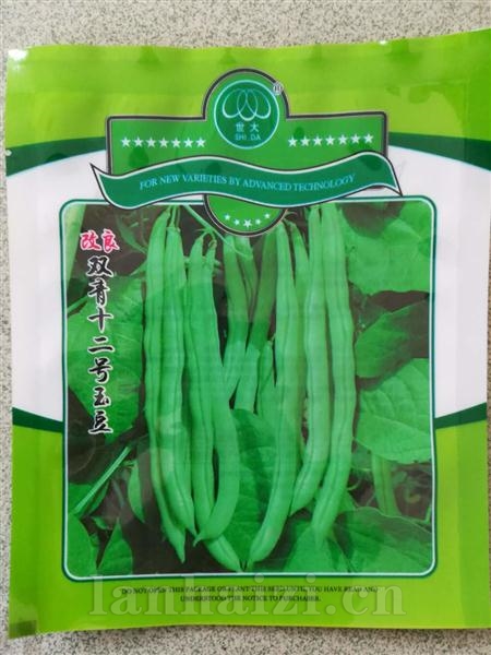 改良双青十二号玉豆--白籽型