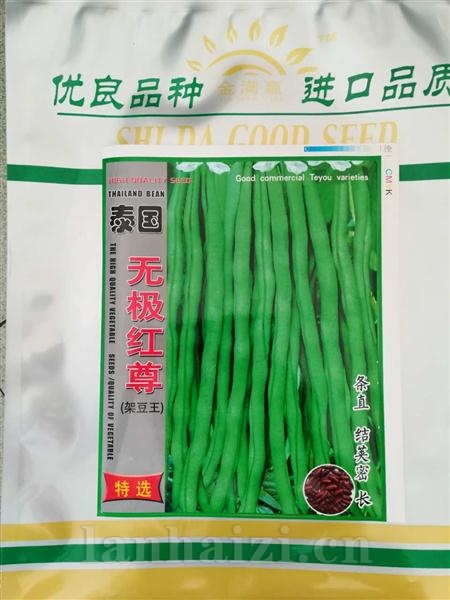 泰国无极红尊--红籽型