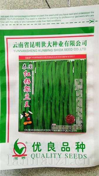 泰国红籽架豆王--红籽型