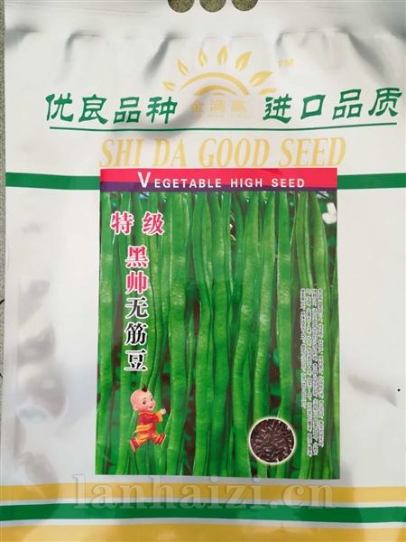 特级黑帅无筋豆--黑籽型
