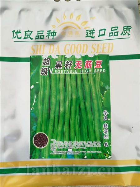 超级黑籽无筋豆--黑籽型