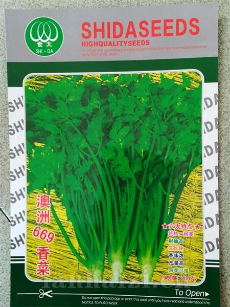 澳洲669香菜--香菜