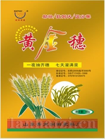 黄金穗