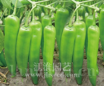 傲天218