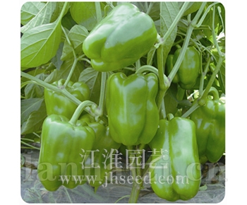 鼎盛