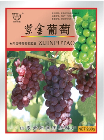 紫金葡萄