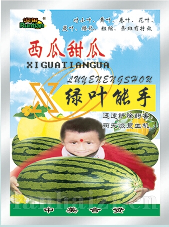 西瓜甜瓜绿叶能手
