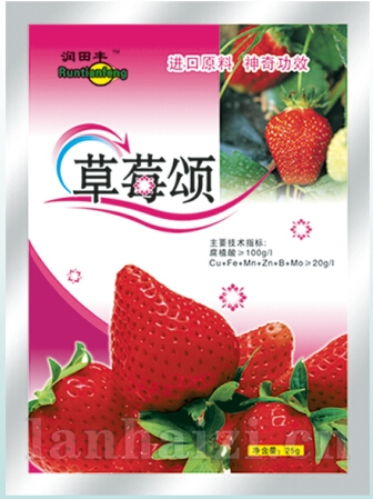 草莓颂