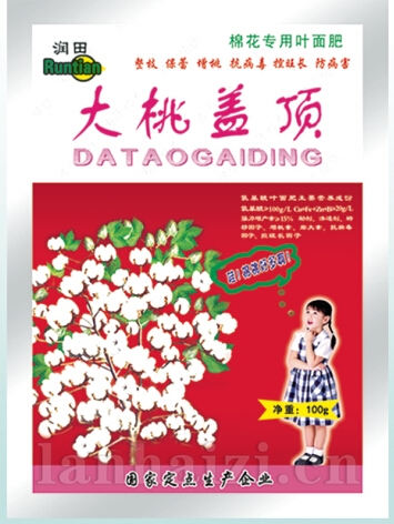 大桃盖顶
