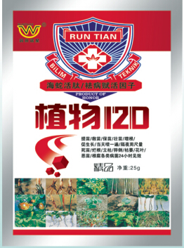 植物120