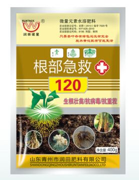 根部急救120