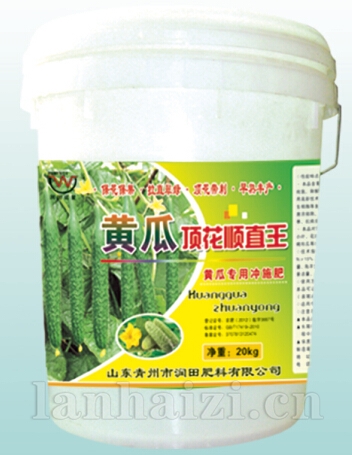 黄瓜顶花顺直王桶装