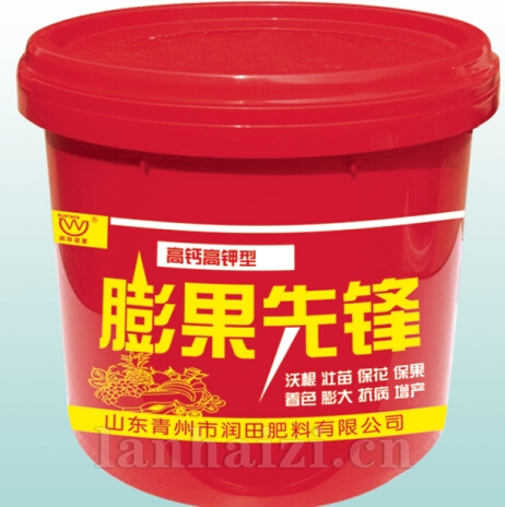 硼果先锋