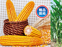 提纯升级版吉品16