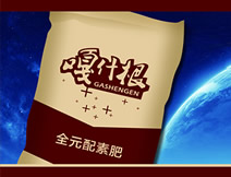 嘎什根