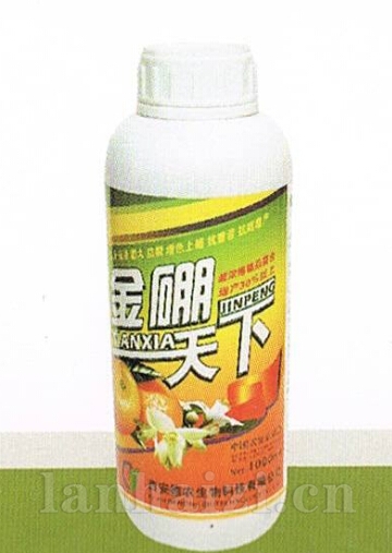 金硼天下