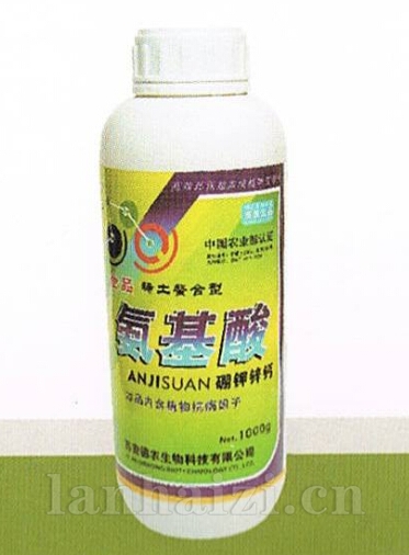 氨基酸